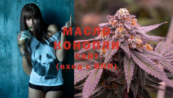 ECSTASY Инсар