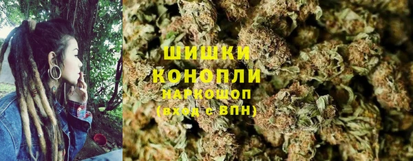 ECSTASY Инсар