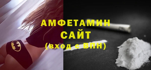 ECSTASY Инсар