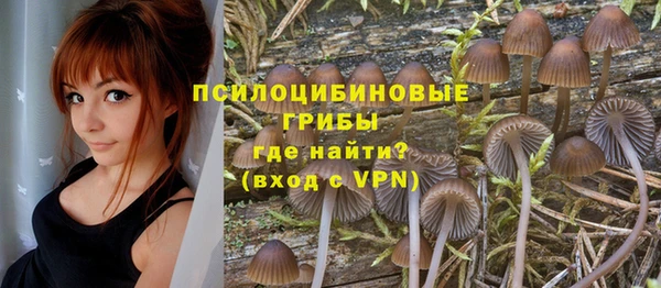 бутират Иннополис