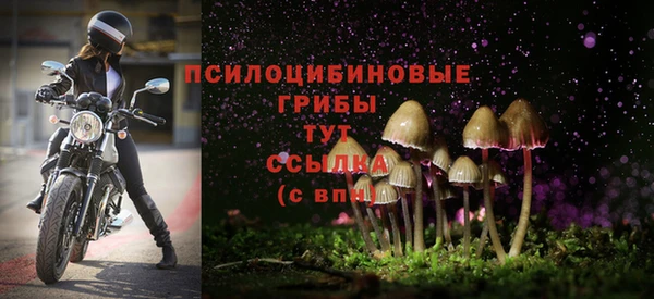 бутират Иннополис