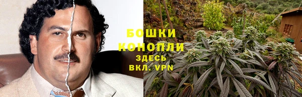 ECSTASY Инсар