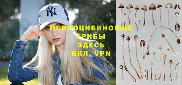 ECSTASY Инсар