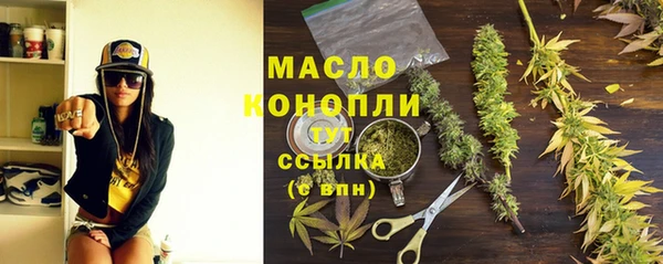 мет Инта