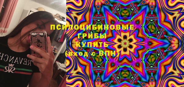 шишки Беслан