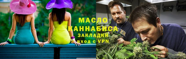 мет Инта