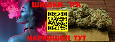 индика Гай