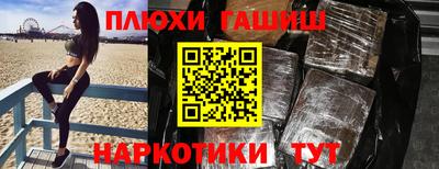 индика Гай