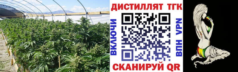 ТГК концентрат  Качканар 