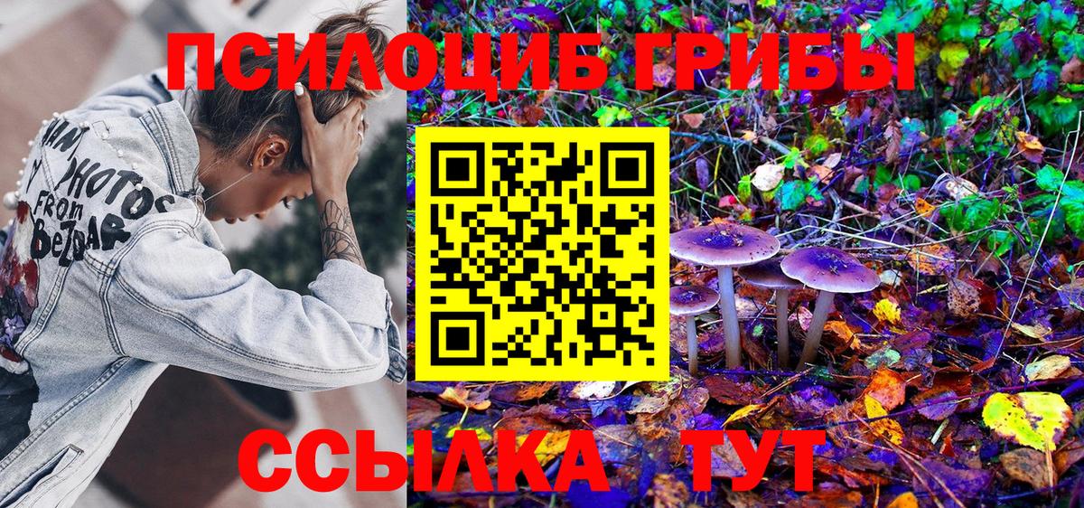 Псилоцибиновые грибы мухоморы Качканар