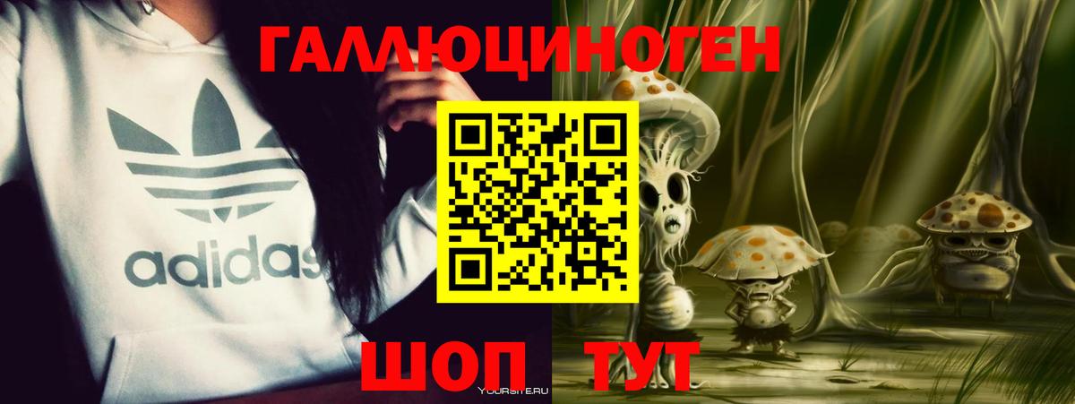 Качканар  Псилоцибиновые грибы GOLDEN TEACHER  Псилоцибиновые грибы GOLDEN TEACHER  Вход с VPN 